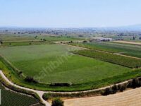 Gediz Ovasının En Verimli Tarlası Satılık